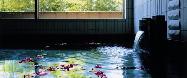 image:Blissful Moments at Hotel Baths / Forest Inn Showakan