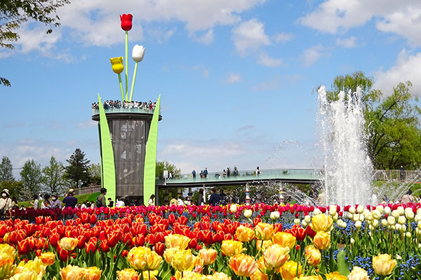 Tonami Tulip Park