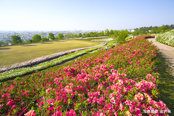 Tsutsuji Park