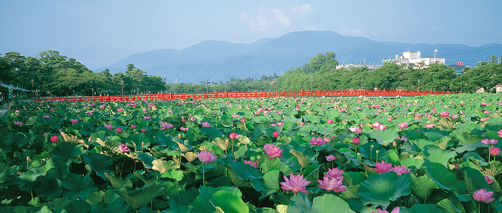 高田城址公園