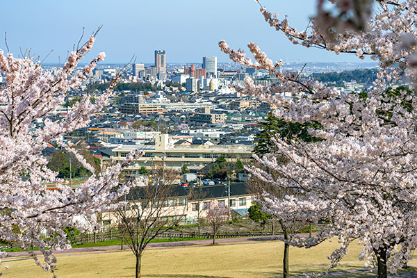 Daijoji Kyuryo Hillside Park