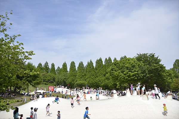 Showa Kinen Park