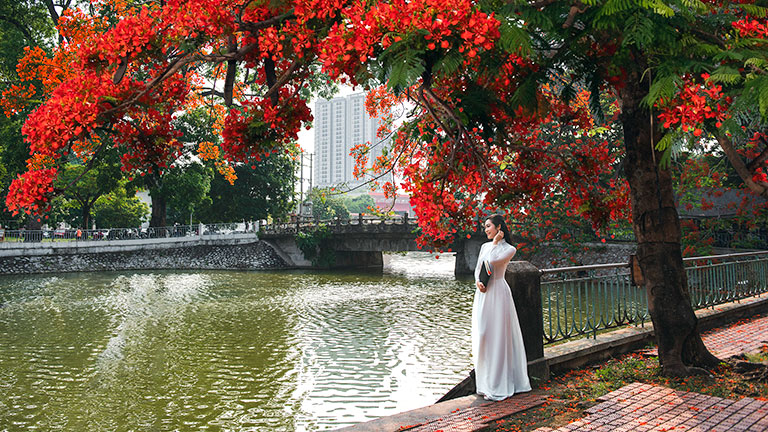 Flamboyant Flower Festival